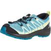 Delphinium Blue/Black/Charlock