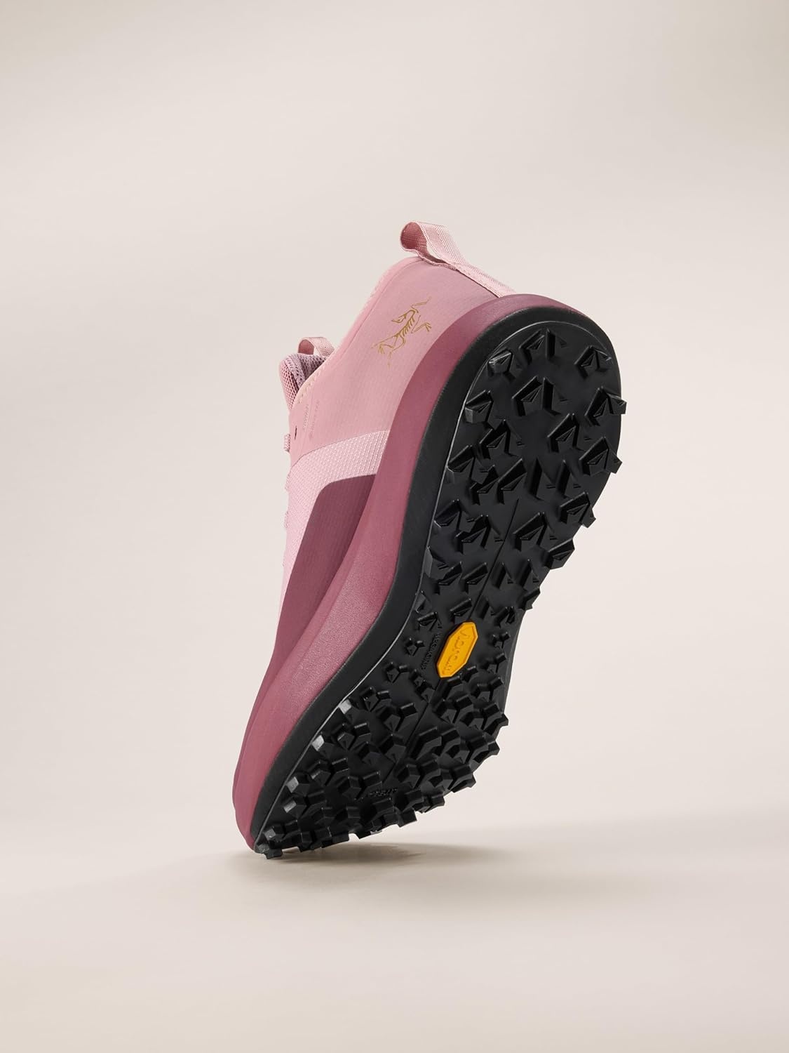 image:imageArcteryx Sylan GTX Womens Running Shoes Waterproof GoreTex Breathable and Lightweight Trail Shoe with Rocker MidsoleDark BlissMars
