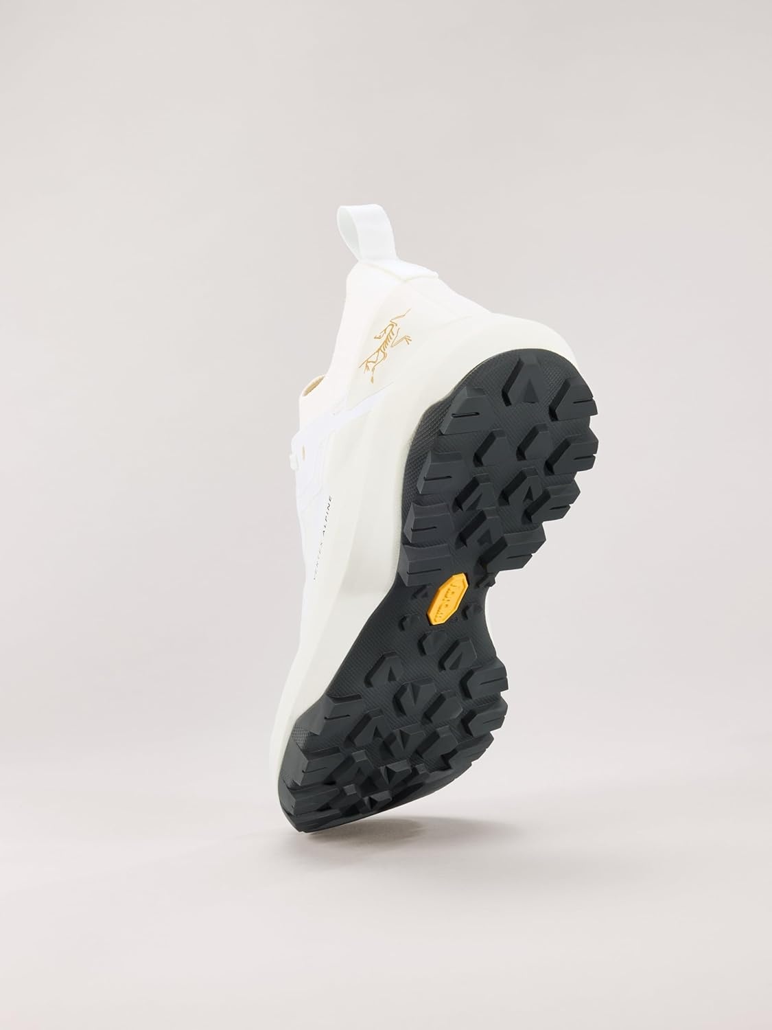 image:imageArcteryx Vertex Alpine GTX Shoe Womens Fast and Light GoreTex Approach ShoeArctic SilkDark Arctic Silk