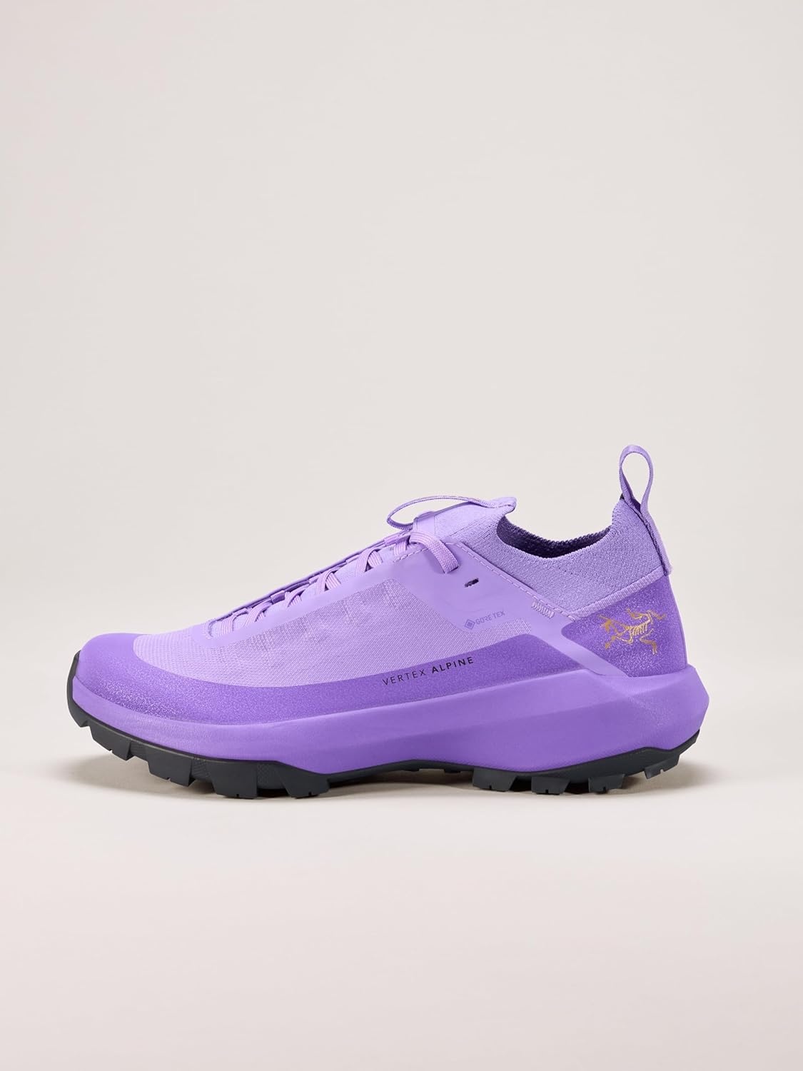 image:imageArcteryx Vertex Alpine GTX Shoe Womens Fast and Light GoreTex Approach ShoeAsterDark Aster