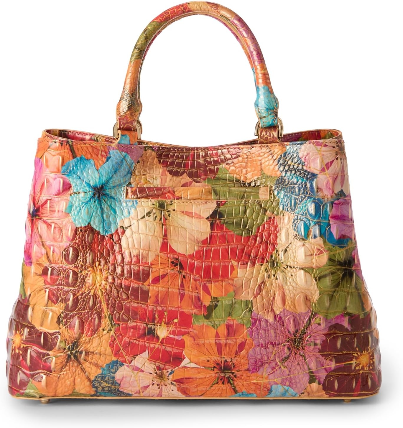 image:imageBRAHMIN Small DeniseFlorita