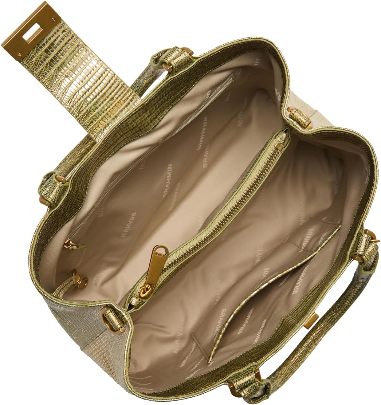 image:imageBRAHMIN Small DeniseOlive